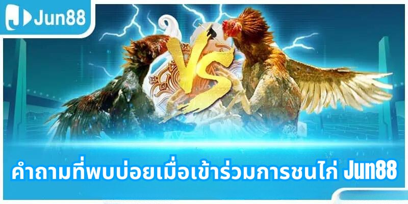 คำถามที่พบบ่อยเมื่อเข้าร่วมการชนไก่ Jun88