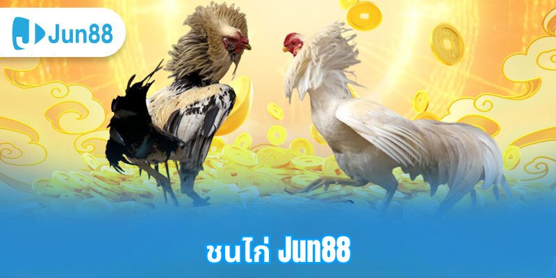 ชนไก่ Jun88: ศิลปะและวัฒนธรรมที่มีเสน่ห์